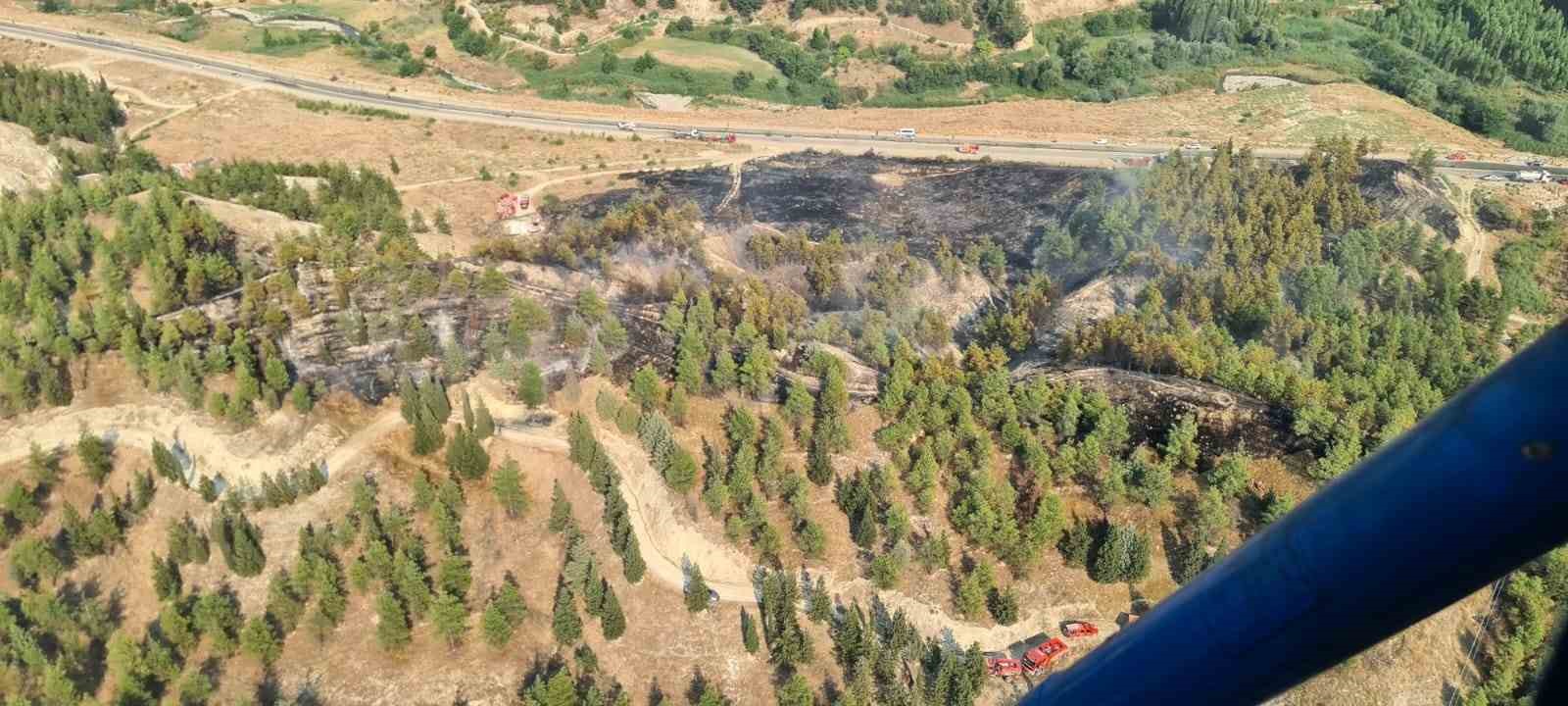 YOL KENARINDA BAŞLAYIP ORMANA SIÇRAYAN YANGIN HIZLI VE ETKİN MÜDAHALEYLE BÜYÜMEDEN SÖNDÜRÜLDÜ