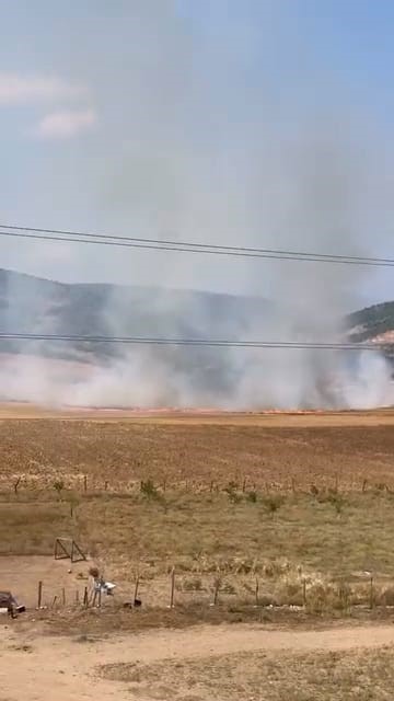 BURSA’DA TARLALIK ALANI ATEŞE VEREN ŞÜPHELİ YAKALANDI