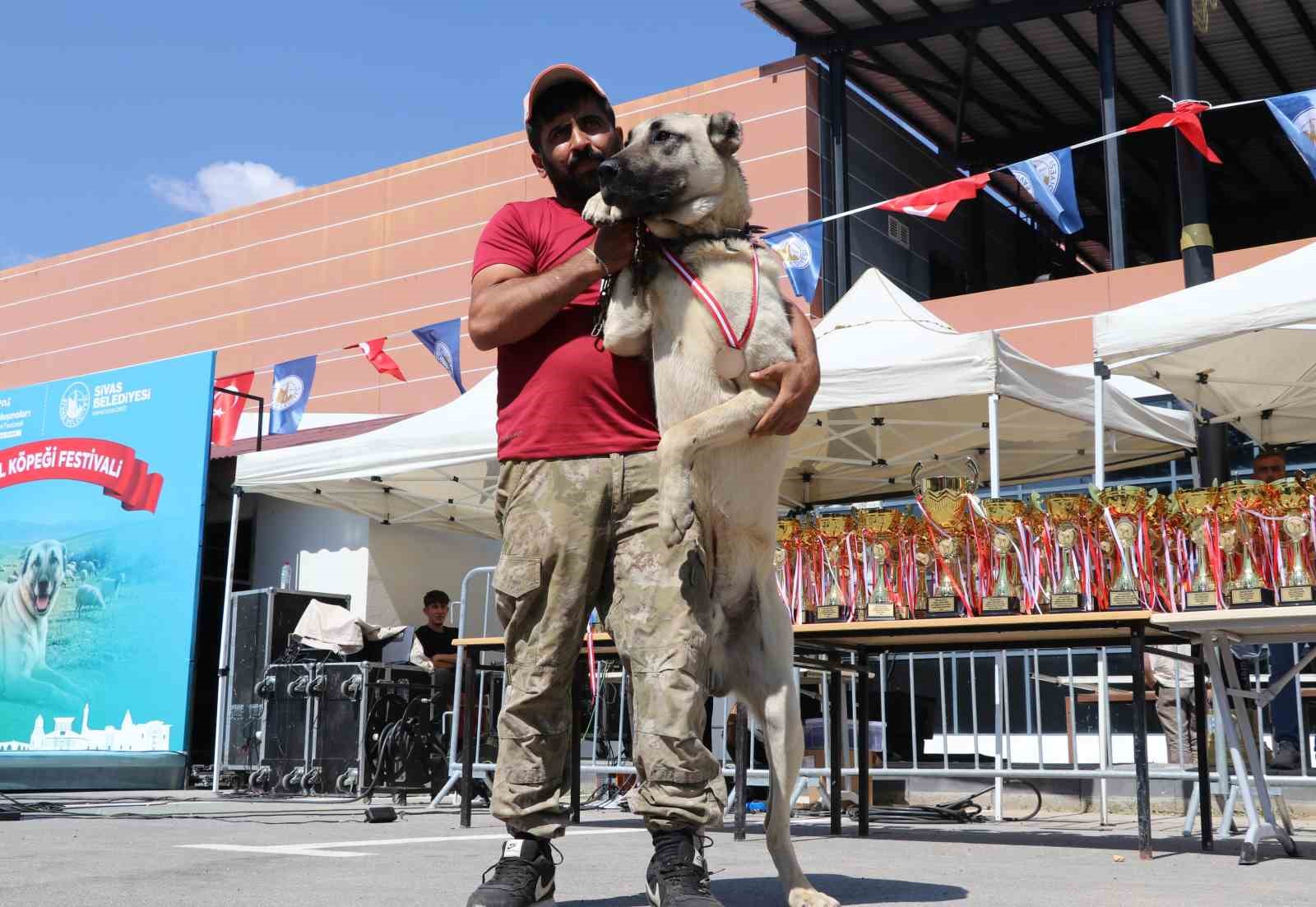 DÜNYACA ÜNLÜ "ANADOLU ASLANLARI" GÜZELLİK YARIŞINDA KIYASIYA YARIŞTI