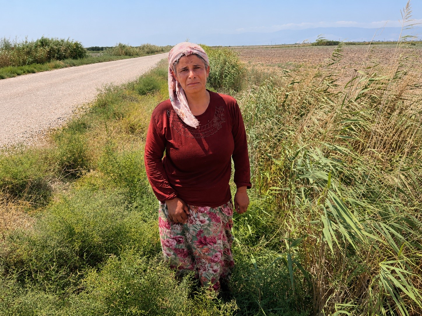 SÜT SATARAK GEÇİMİNİ SAĞLAYAN KADININ 2 BUZAĞISI HASTALANIP, İNEĞİ DE SU KANALINA DÜŞEREK TELEF OLDU