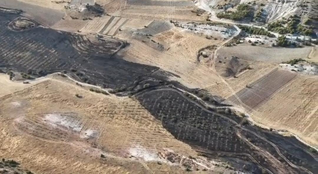 ANKARA’DA TARIM ARAZİSİNDE ÇIKAN YANGIN ORMANA SIÇRAMADAN SÖNDÜRÜLDÜ