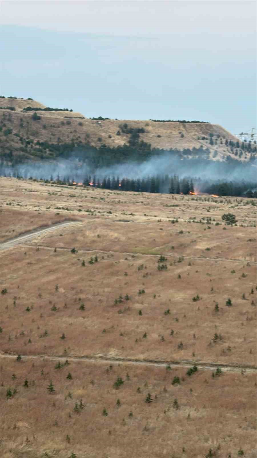 ANKARA’DA AĞAÇLIK ALANDA YANGIN