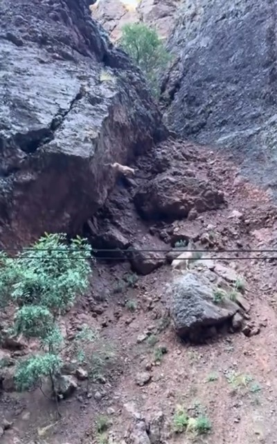 DAĞ KEÇİSİ METRELERCE YÜKSEKTEN ATLADI: O ANLAR KAMERADA