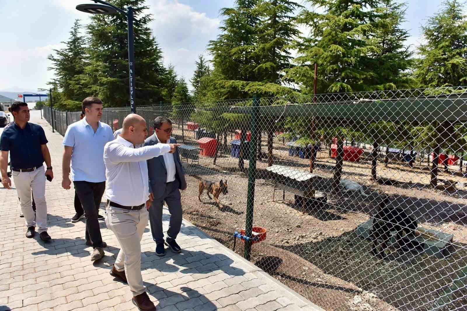BAŞKAN HAKAN ŞEHİRLİ HAYVAN BAKIMEVİ’Nİ ZİYARET ETTİ