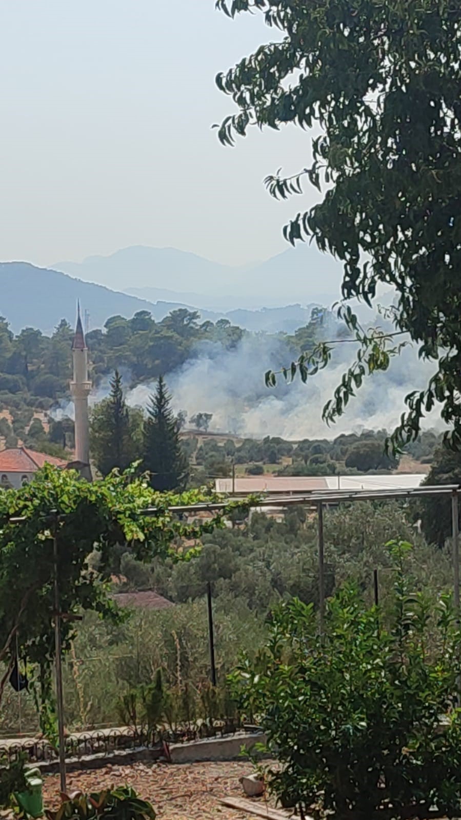 DALAMAN’DA ORMAN YANGINI EKİPLERİN HIZLI MÜDAHALESİ İLE KONTROL ALTINA ALINDI