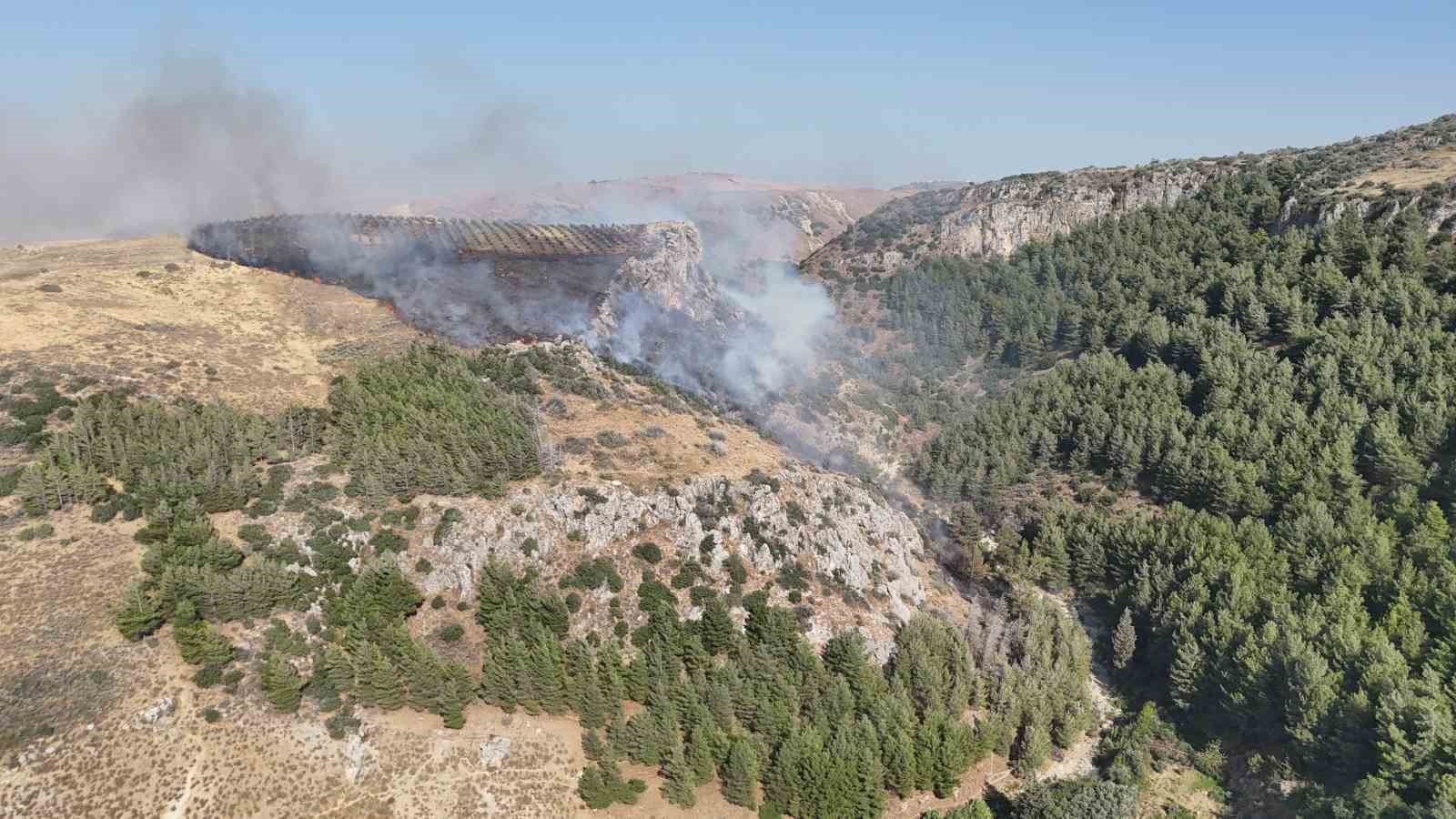 HATAY’DA ORMAN YANGINI ÇIKTI