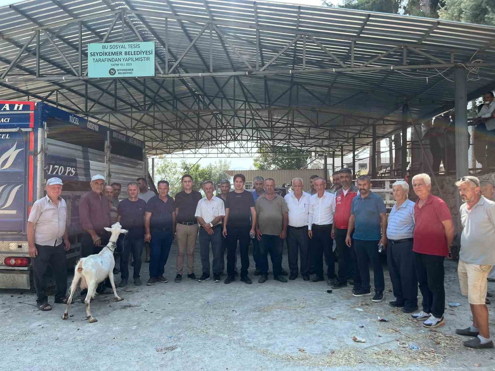SEYDİKEMER’DE YANGINDA HAYVANLARINI KAYBEDEN ÇİFTÇİLERE KÜÇÜKBAŞ HAYVAN DESTEĞİ