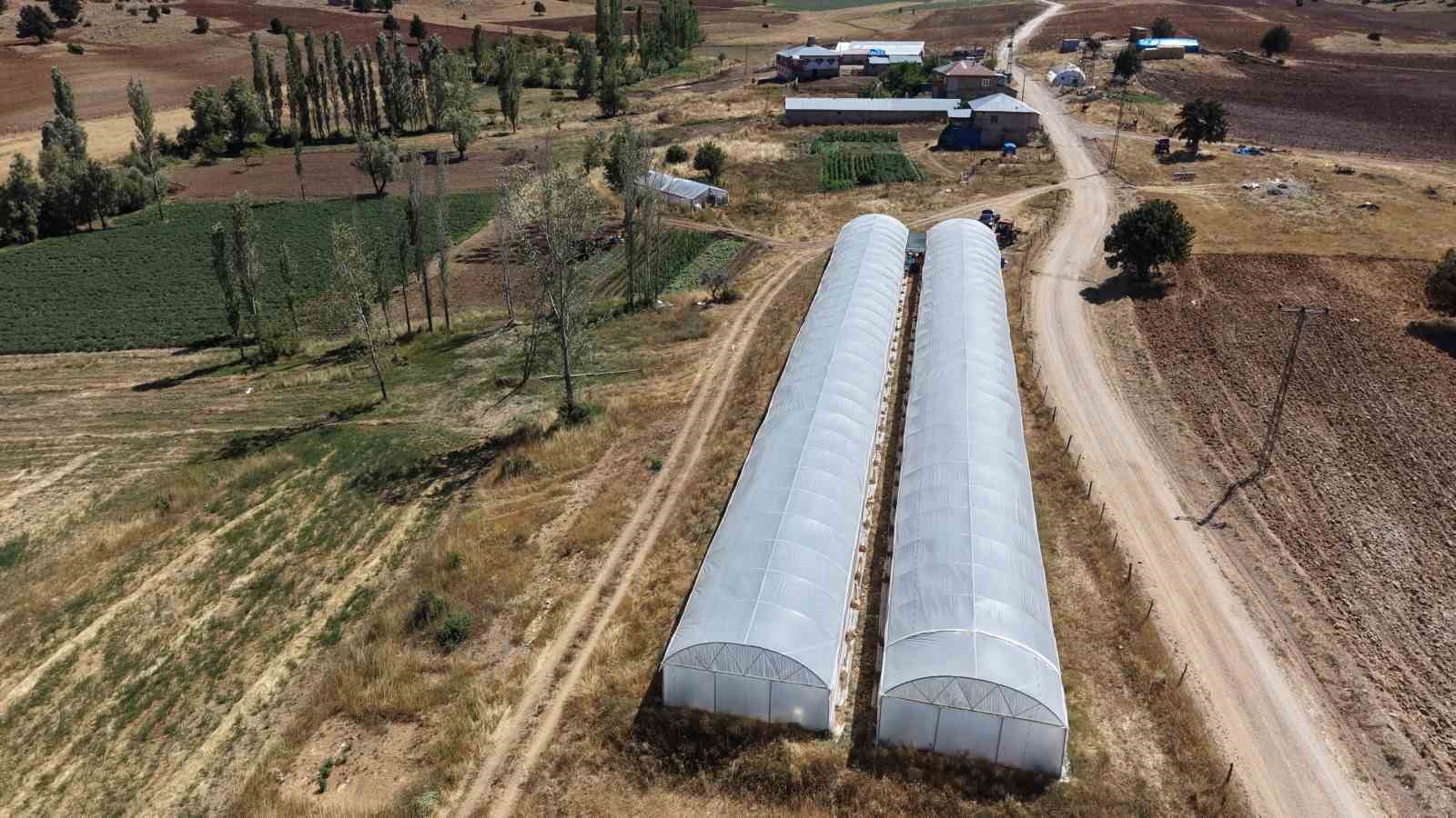 BABA-KIZ BİN 500 RAKIMDA SERA KURUP DOMATES YETİŞTİRMEYE BAŞLADILAR
