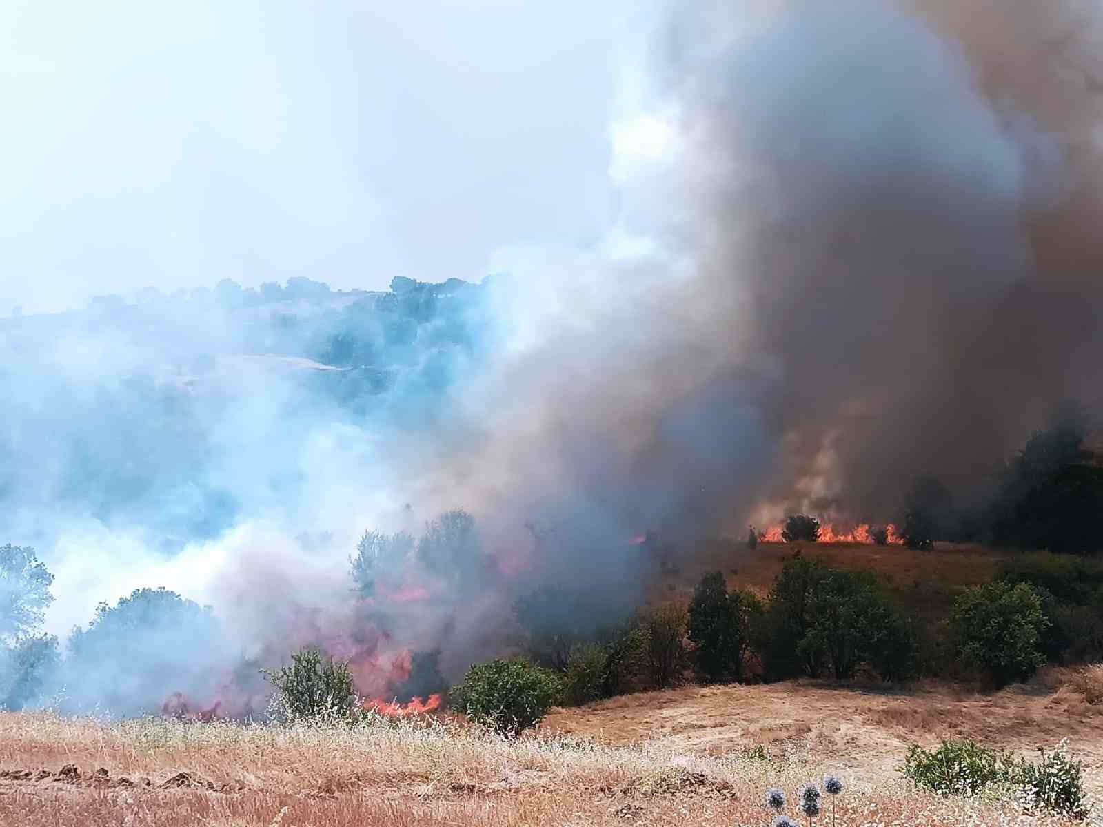 PÜTÜRGE’DE ORMAN VE ÖRTÜ YANGININA HAVADAN MÜDAHALE