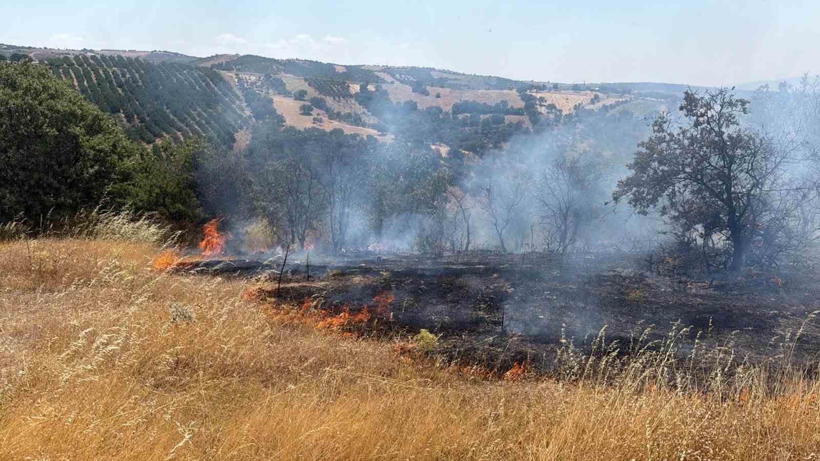 GÖRDES’TE TARIM ARAZİSİNDEN ORMANA SIÇRAYAN YANGIN KONTROL ALTINDA