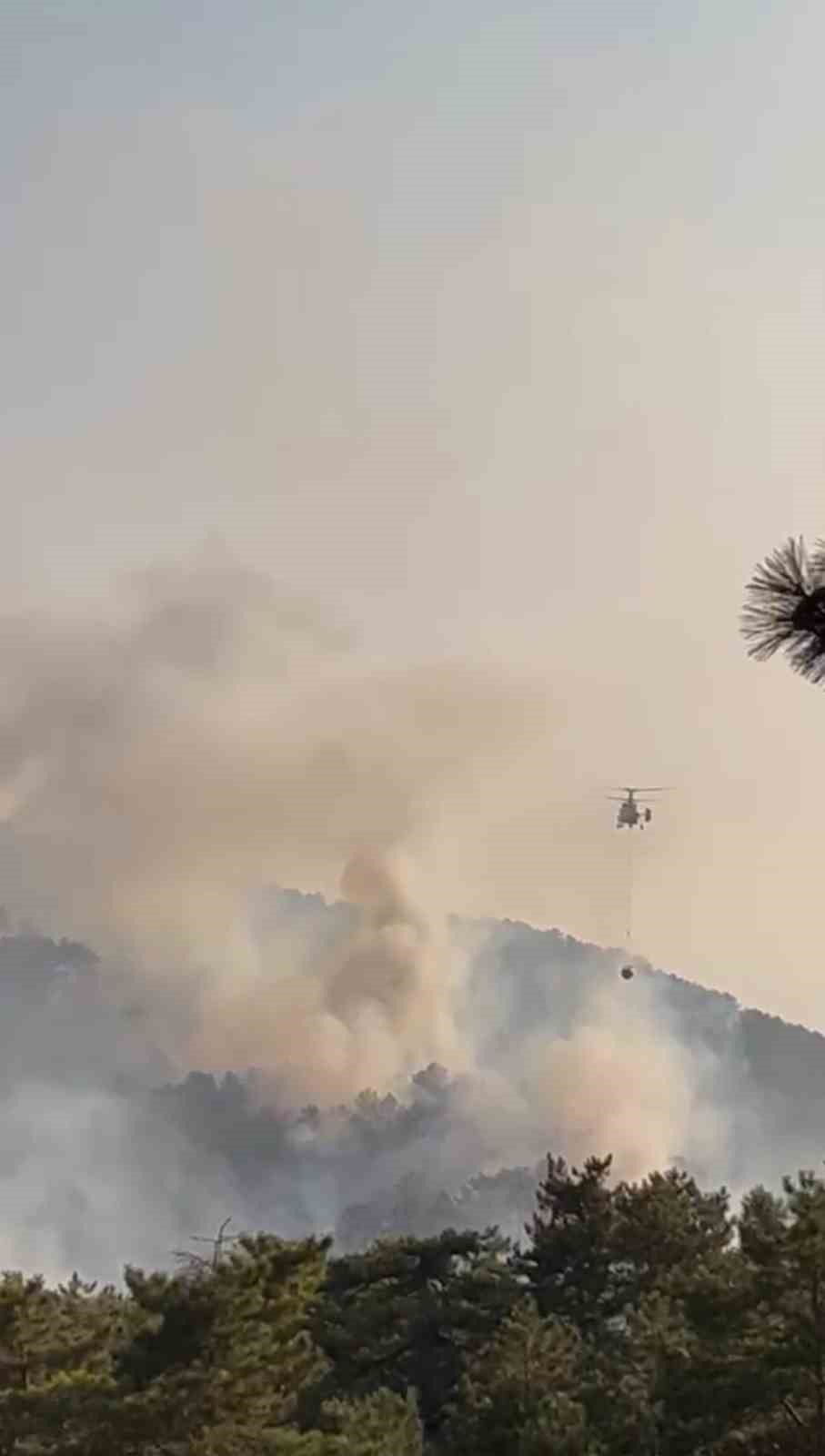 BOLU’DAKİ ORMAN YANGINI KONTROL ALTINA ALINDI