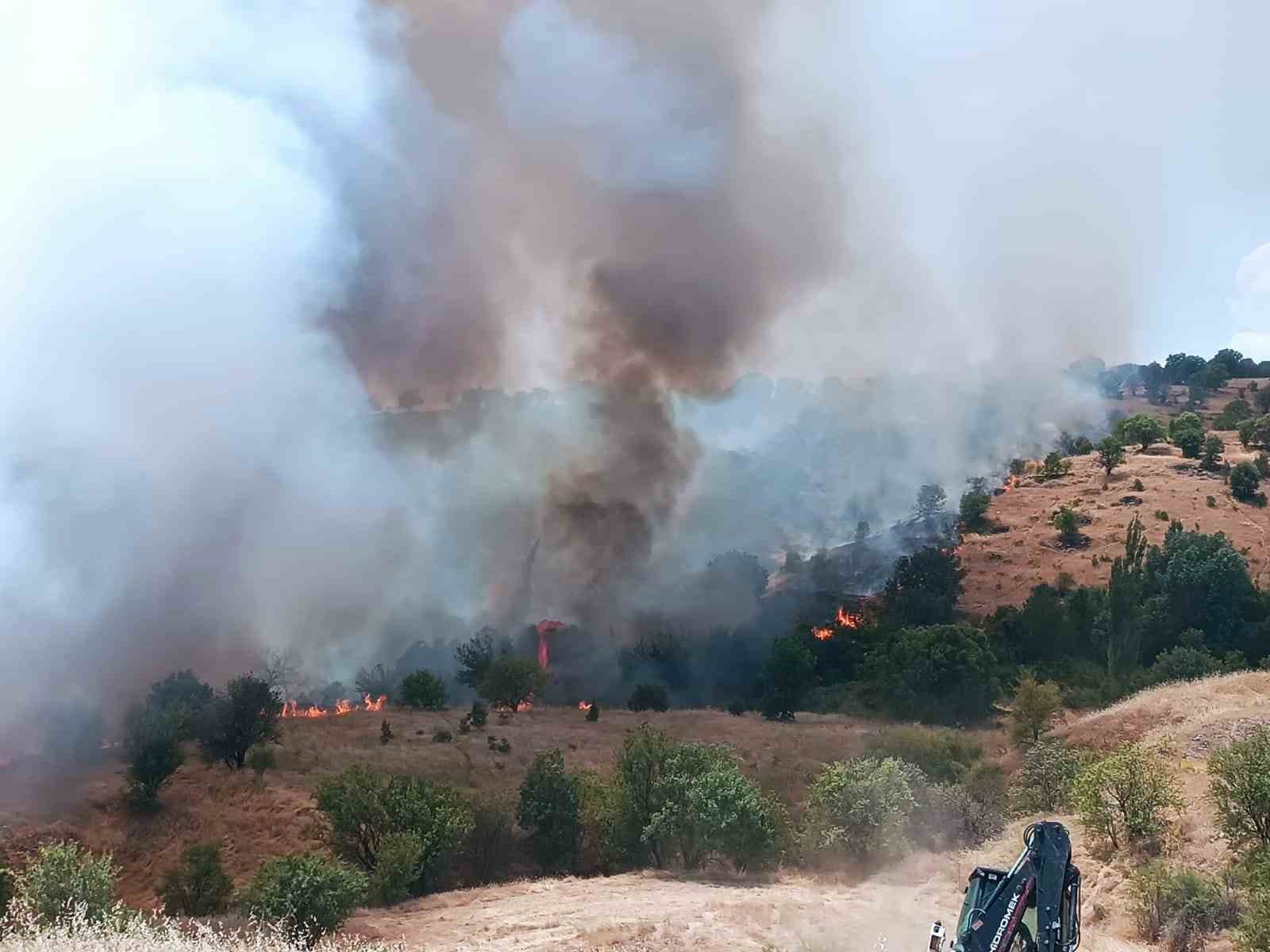 PÜTÜRGE’DE ORMAN VE ÖRTÜ YANGINI KONTROL ALTINA ALINDI