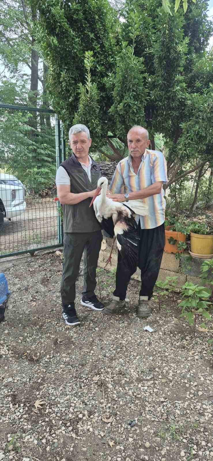 EVİNİN ÖNÜNE GELEN YARALI LEYLEĞE SAHİP ÇIKTI