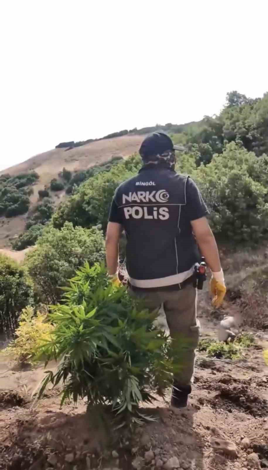 BİNGÖL’DE UYUŞTURUCU OPERASYONU: 3 ŞÜPHELİ TUTUKLANDI