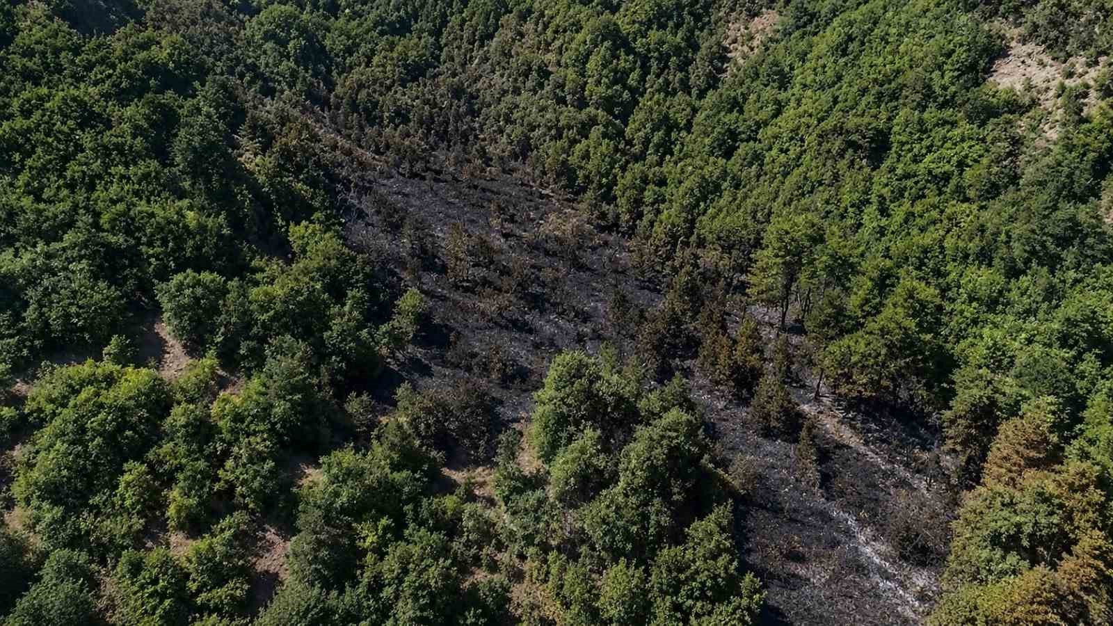 SİNOP’TAKİ ORMAN YANGINI KONTROL ALTINA ALINDI
