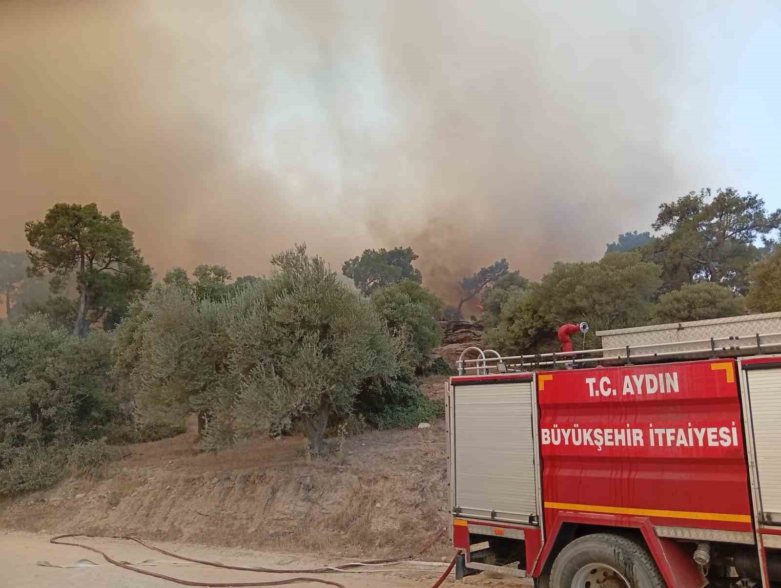İTFAİYE ERLERİ ALEVLERİN ARASINDA KALAN KAPLUMBAĞAYI BÖYLE KURTARDI