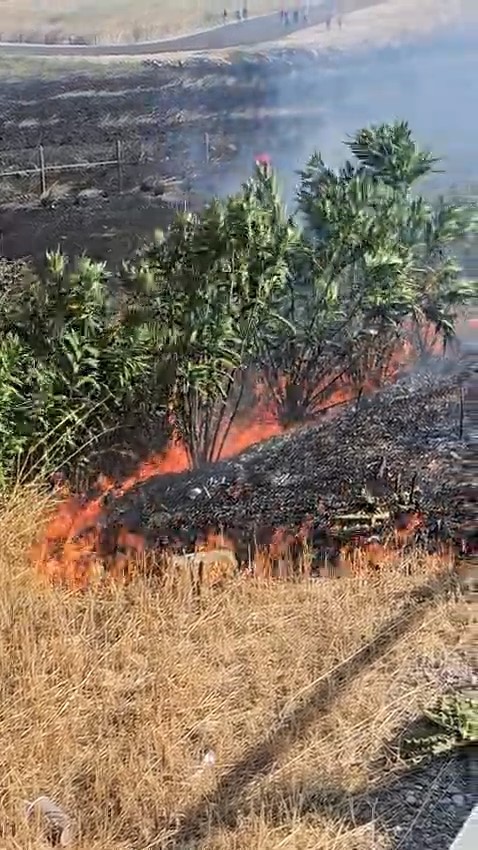 OTOBAN KENARINDA ÇIKAN YANGIN SÖNDÜRÜLDÜ