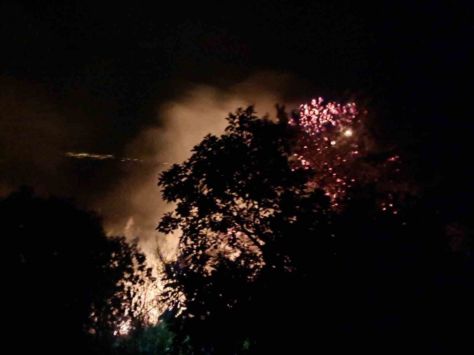 ALANYA’DA GECE SAATLERİNDE ÇIKAN ORMAN YANGINI KONTROL ALTINA ALINDI
