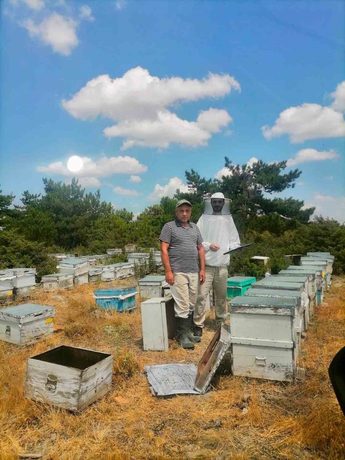 İSCEHİSAR’DA ARILI KOVANLARIN TESPİTİ İÇİN SAHA ÇALIŞMASI