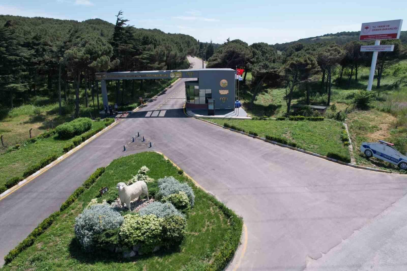 BANDIRMA KOYUNCULUK ARAŞTIRMA ENSTİTÜSÜ’NÜN TÜBİTAK PROJESİNE DESTEK