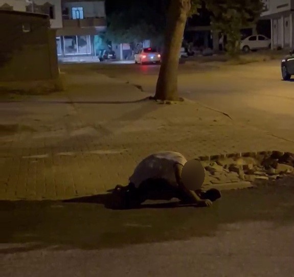 MADDE BAĞIMLISI OLDUĞU İDDİA EDİLEN ŞAHIS SOKAK ORTASINDA YIĞILIP KALDI