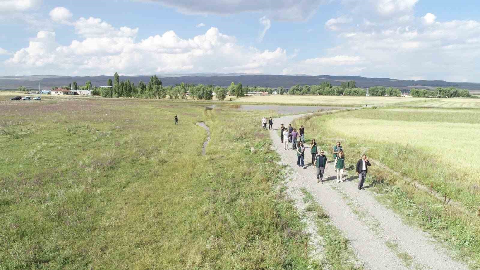 KARS VE ARDAHAN’DA 52 BİN HEKTARLIK ALANDA ARAZİ TOPLULAŞTIRMA İNCELEMESİ