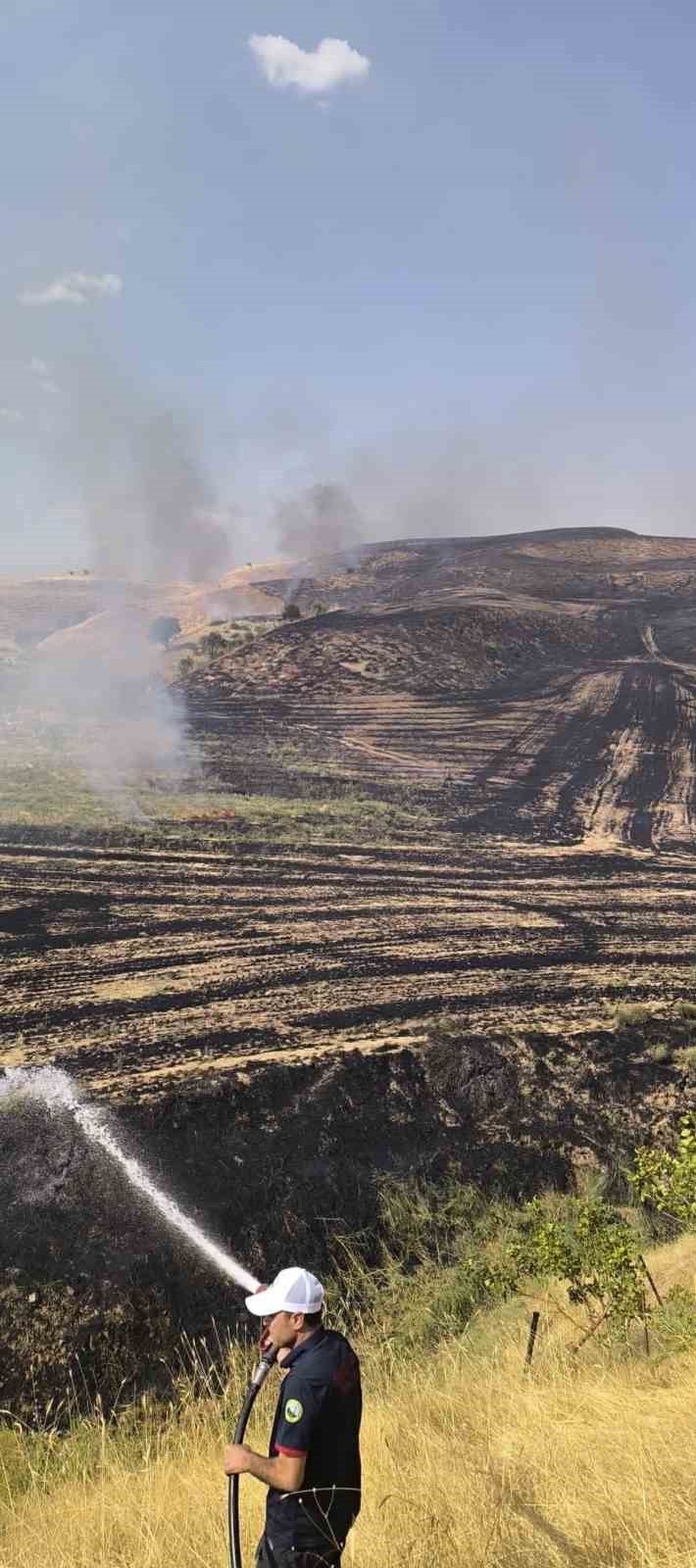 SİİRT’TE ANIZ YANGINI MEYVE BAHÇESİNE SIÇRADI, 100 AĞAÇ ZARAR GÖRDÜ