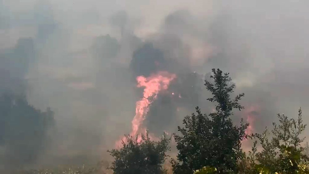 DİYARBAKIR’DA ÖRTÜ VE ORMAN YANGININDA GENİŞ ALAN ZARAR GÖRDÜ