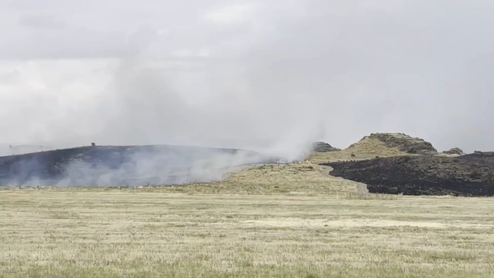 AHLAT-TATVAN YOLUNDA OTLUK ALANDA YANGIN PANİĞİ