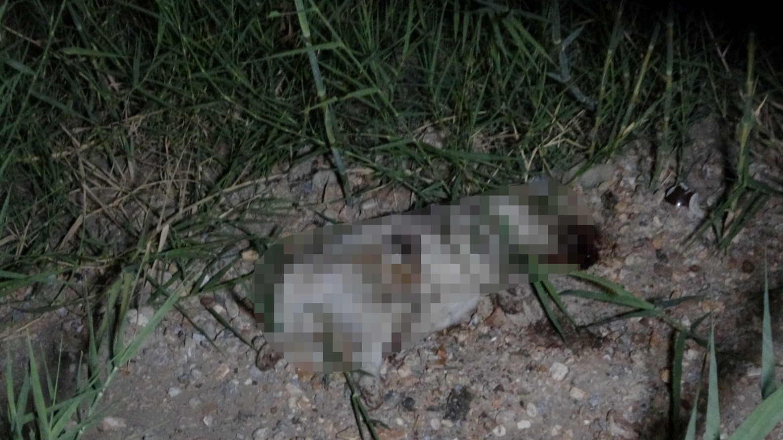 ATV ARACIN ÇARPTIĞI YAVRU KÖPEĞİN TAŞLA ÖLDÜRÜLDÜĞÜ İDDİASI ORTALIĞI KARIŞTIRDI