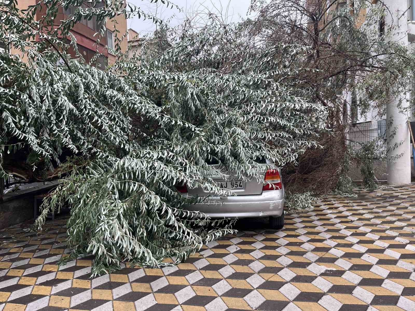 NİĞDE’DE DEVRİLEN AĞAÇ PARK HALİNDEKİ ARACIN ÜZERİNE DÜŞTÜ