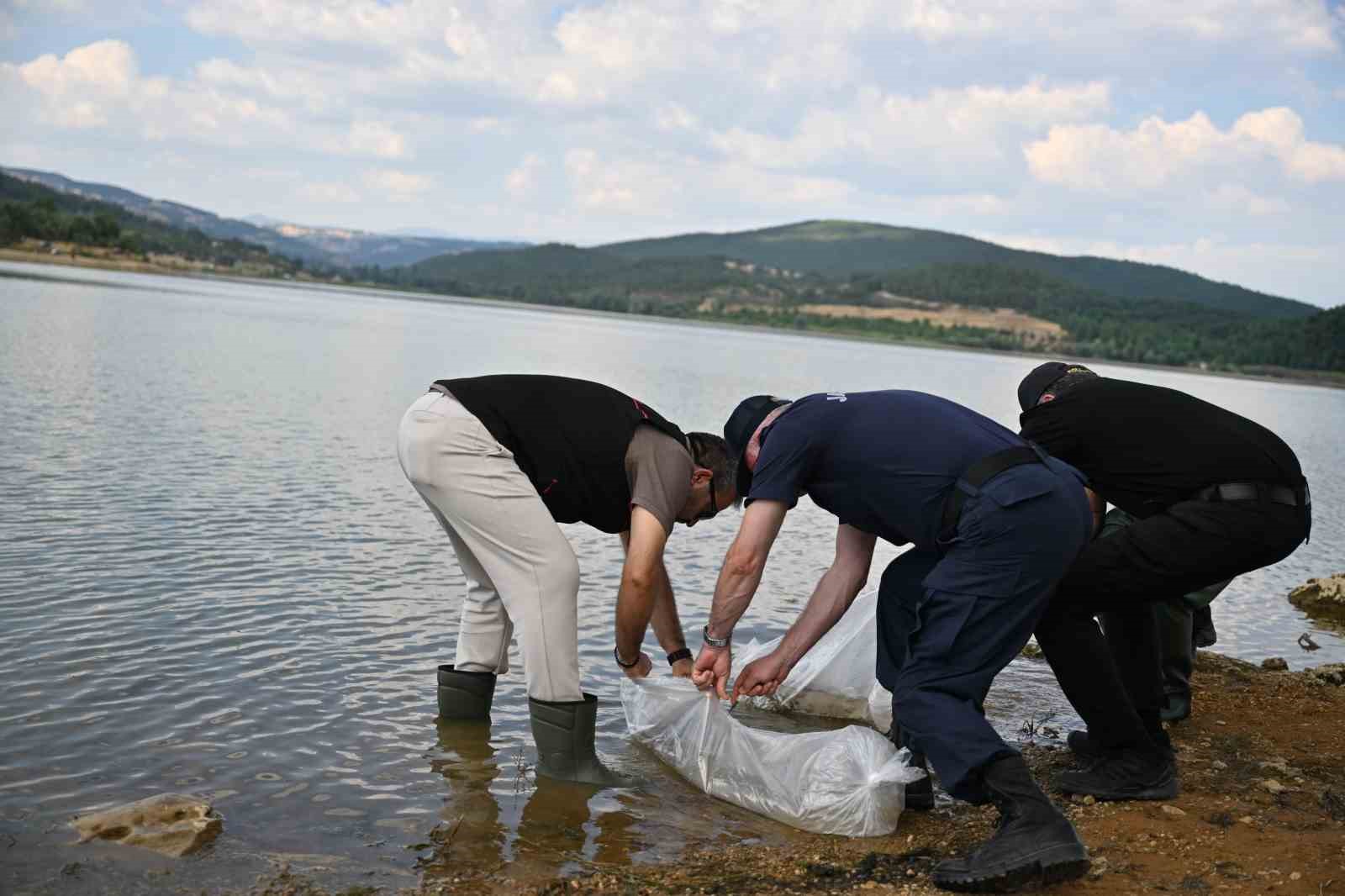 UŞAK’TA GÖĞEM GÖLETİ’NE PULLU SAZAN YAVRULARI BIRAKILDI