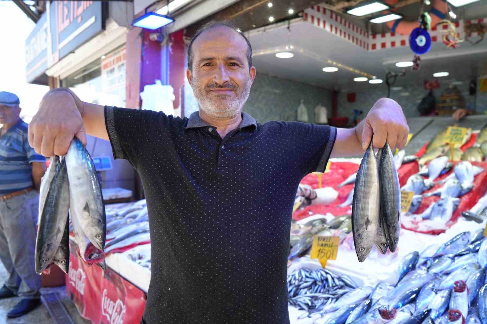YILLARDIR BÖYLESİ GÖRÜLMEDİ: KARADENİZ’DEN PALAMUT FIŞKIRIYOR