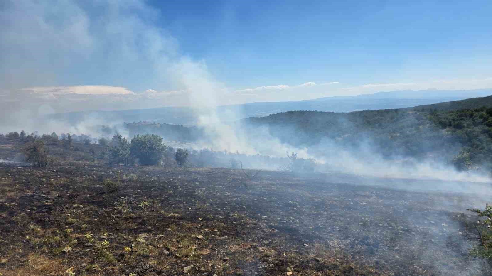 KASTAMONU’DA ÇIKAN ORMAN YANGINI KONTROL ALTINA ALINDI
