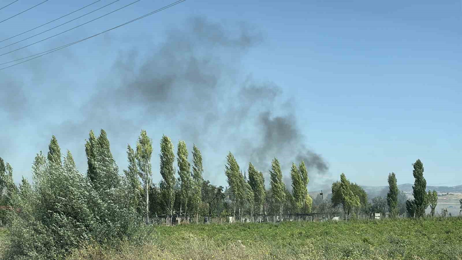 ÇORUM’DA OTLUK ALANDA ÇIKAN YANGINDA 1 KÖPEK YARALANDI