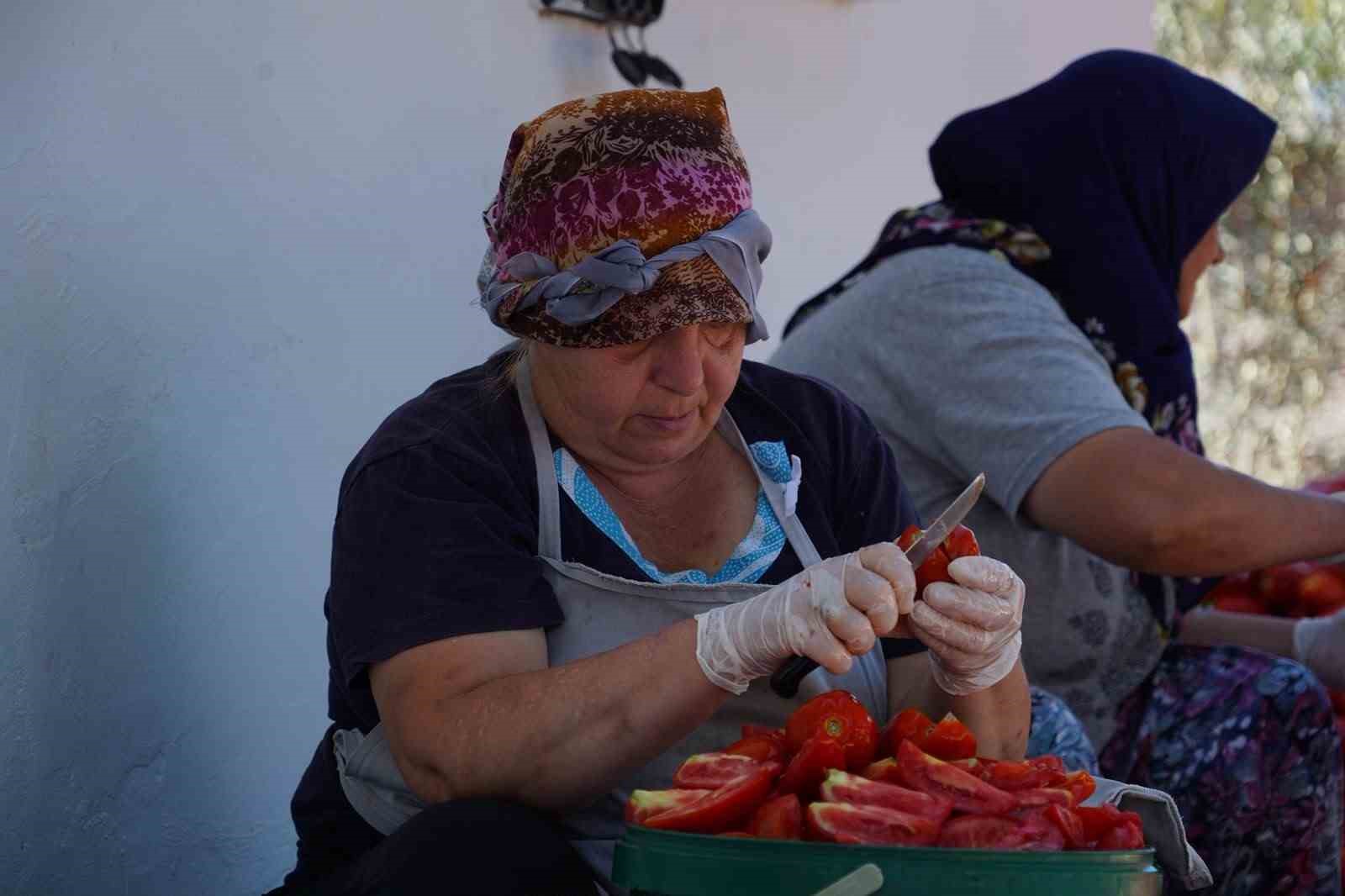 AYVALIK’TA GÜNEŞ İLE LEZZET BULUŞUYOR