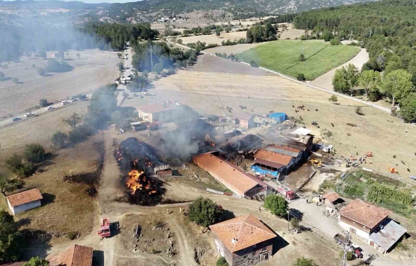 KASTAMONU’DA ÇIKAN SAMANLIK YANGINI AHIRLARA SIÇRADI: İLK BELİRLEMELERE GÖRE 14 BÜYÜKBAŞ HAYVAN TELEF OLDU
