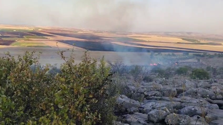 BESNİ’DE ORMANLIK ALANDA ÇIKAN YANGIN KORKUTTU