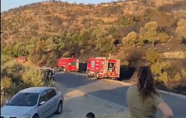 SÖKE’DEKİ ORMAN YANGINI KONTROL ALTINA ALINDI