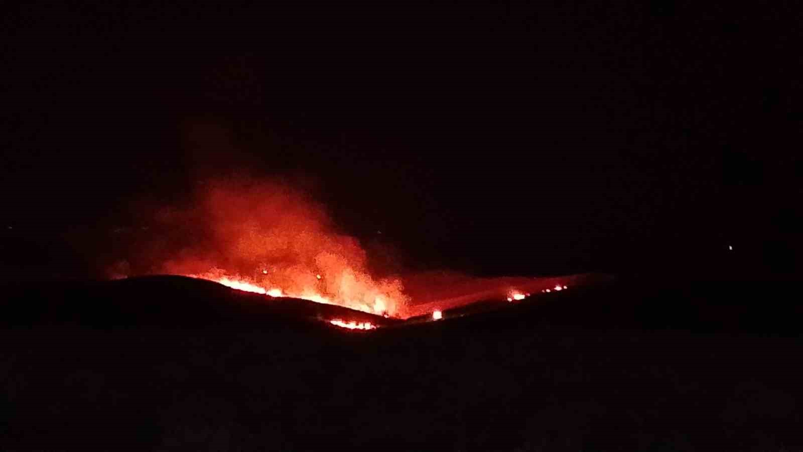 DİYARBAKIR’DA ANIZ VE ÖRTÜ YANGINI