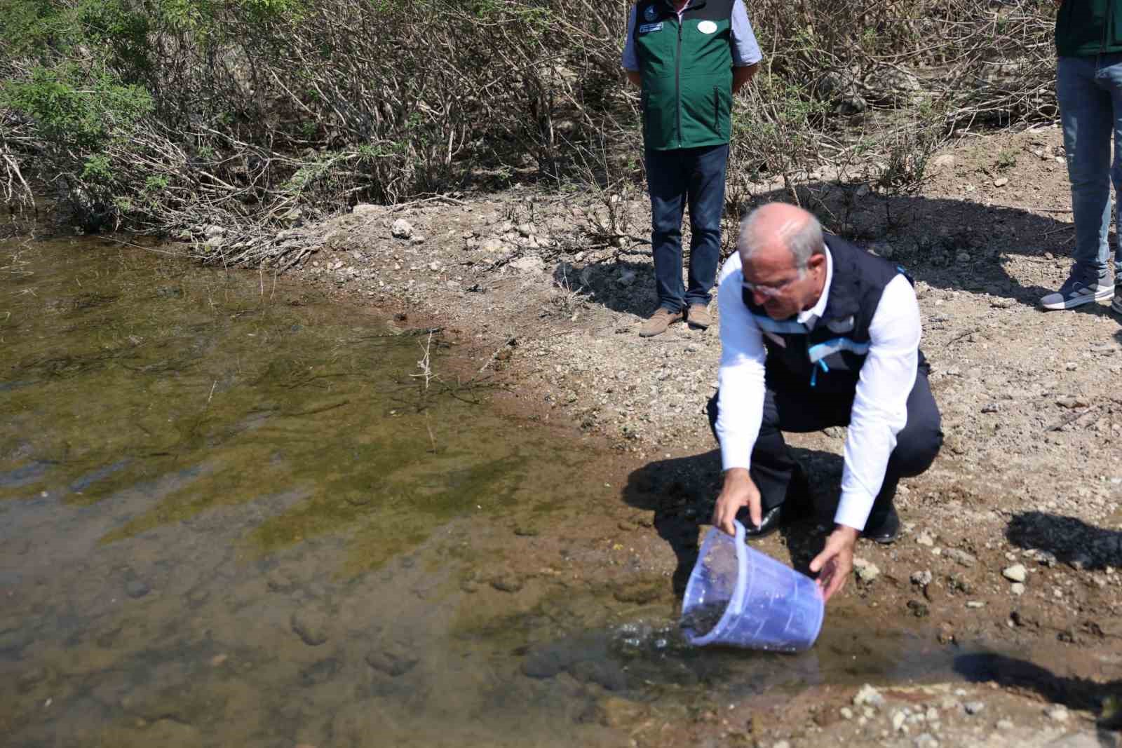 ATİKHİSAR BARAJI’NA 348 BİN SAZAN BALIĞI YAVRUSU BIRAKILDI