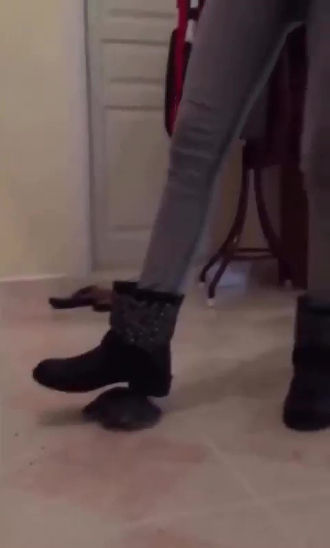 KAPLUMBAĞAYI AYAĞIYLA EZEN ŞÜPHELİ GÖZALTINA ALINDI