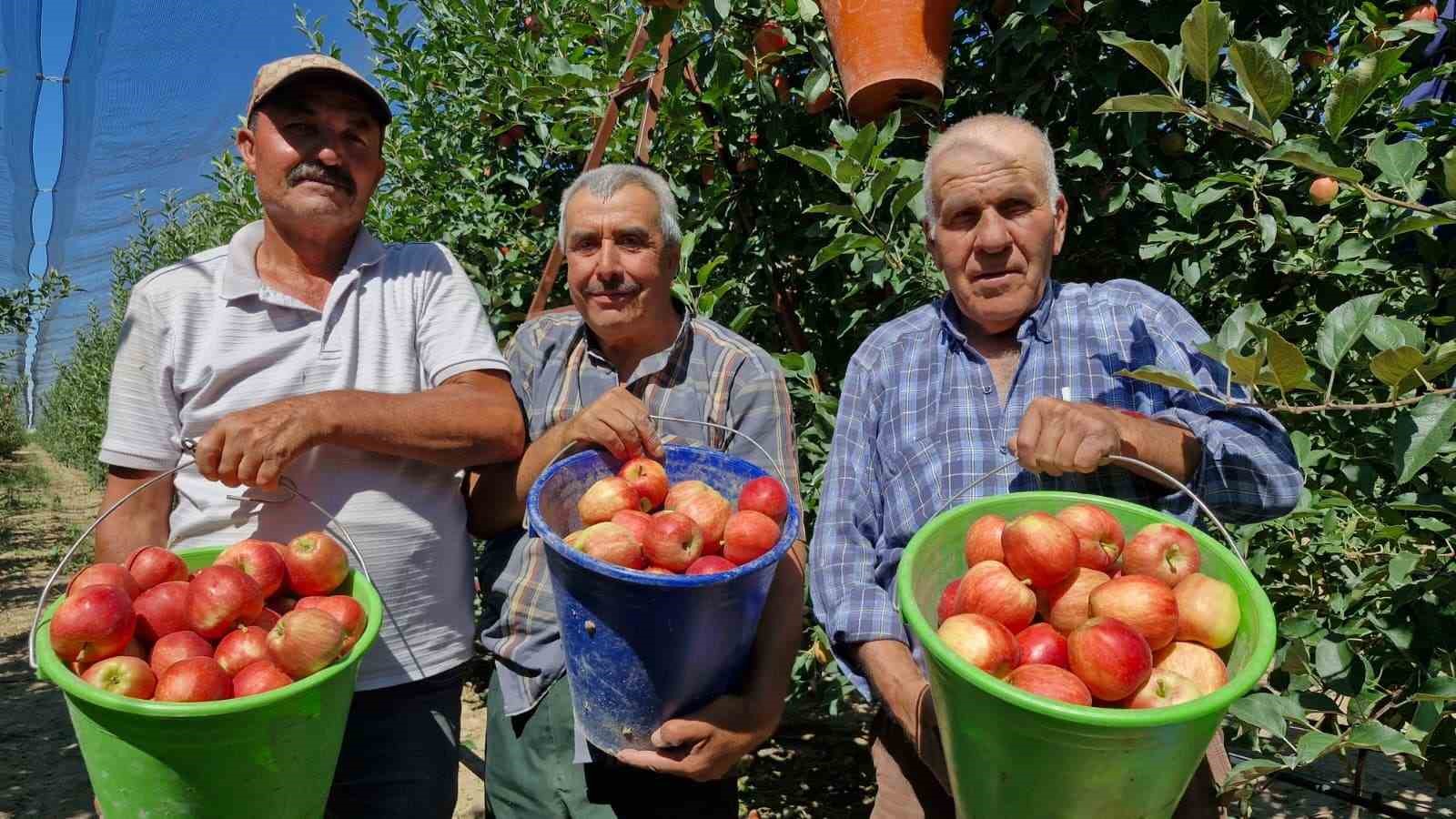 KARAMAN’DA ERKENCİ ELMA HASADI BAŞLADI: REKOLTE YÜKSEK