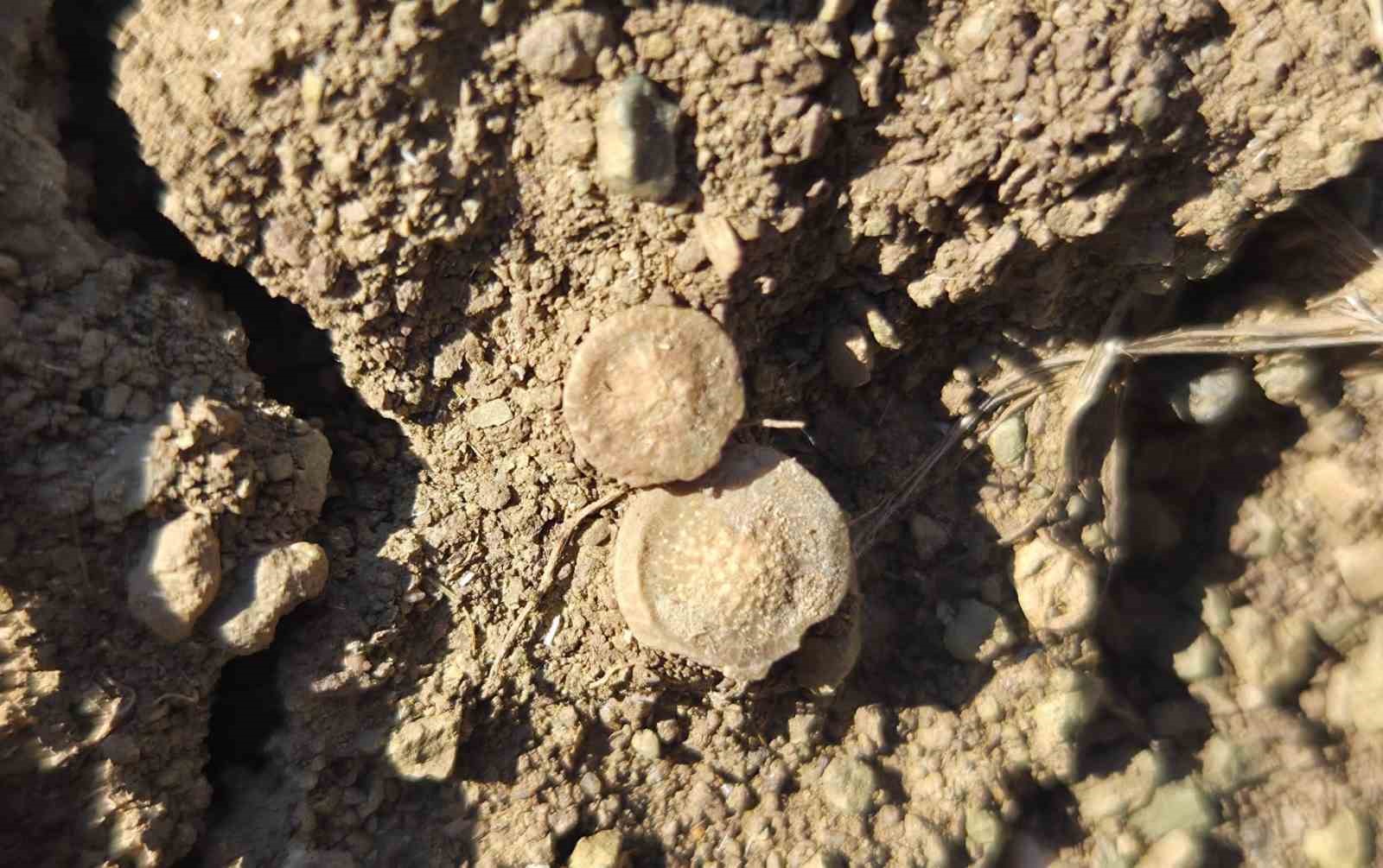 TARLADAN BAKLİYAT DEĞİL FOSİL FIŞKIRDI