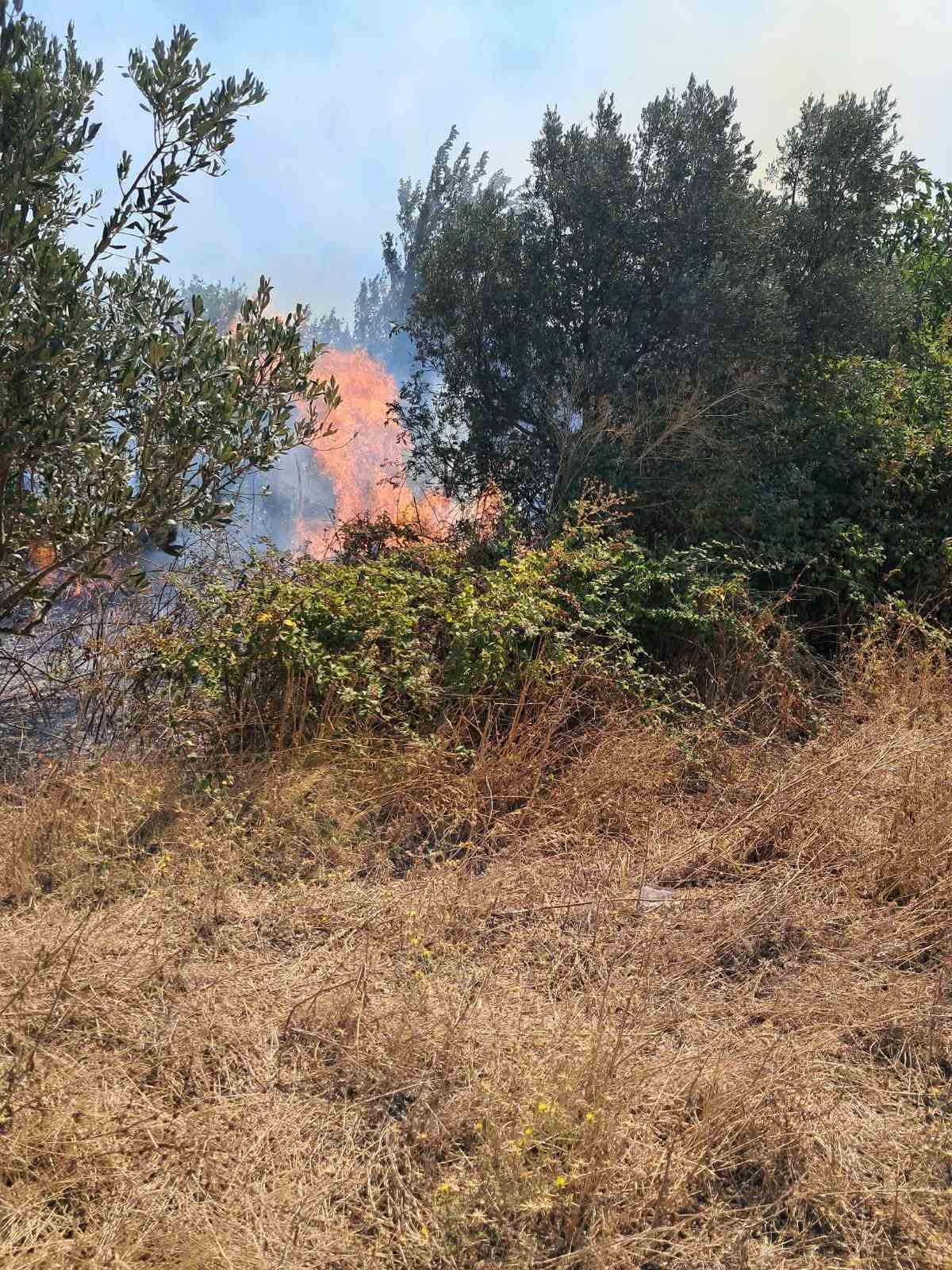 BURSA’DA İKİ AYRI OT YANGINI KONTROL ALTINA ALINDI