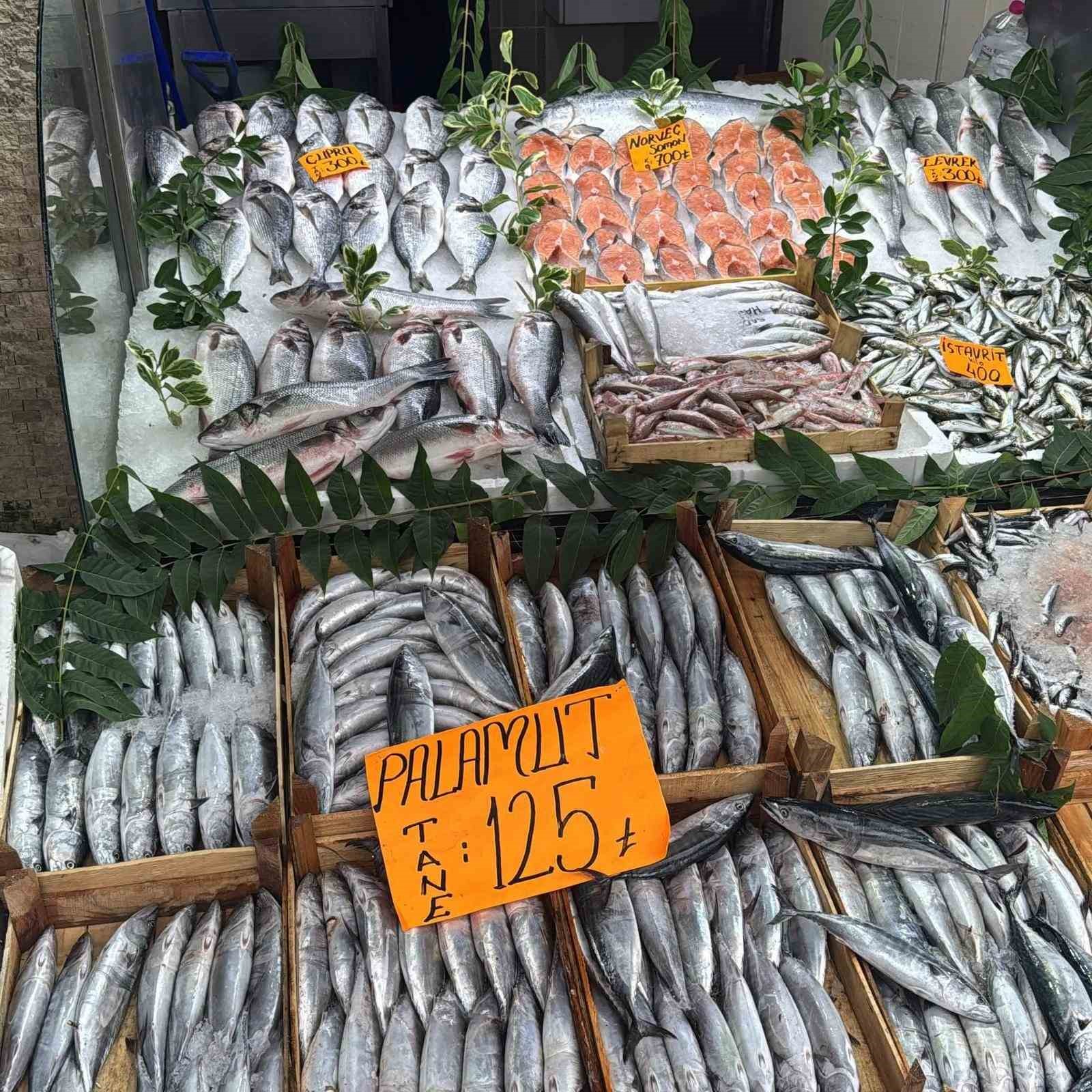 TEZGAHTA PALAMUT BOLLUĞU