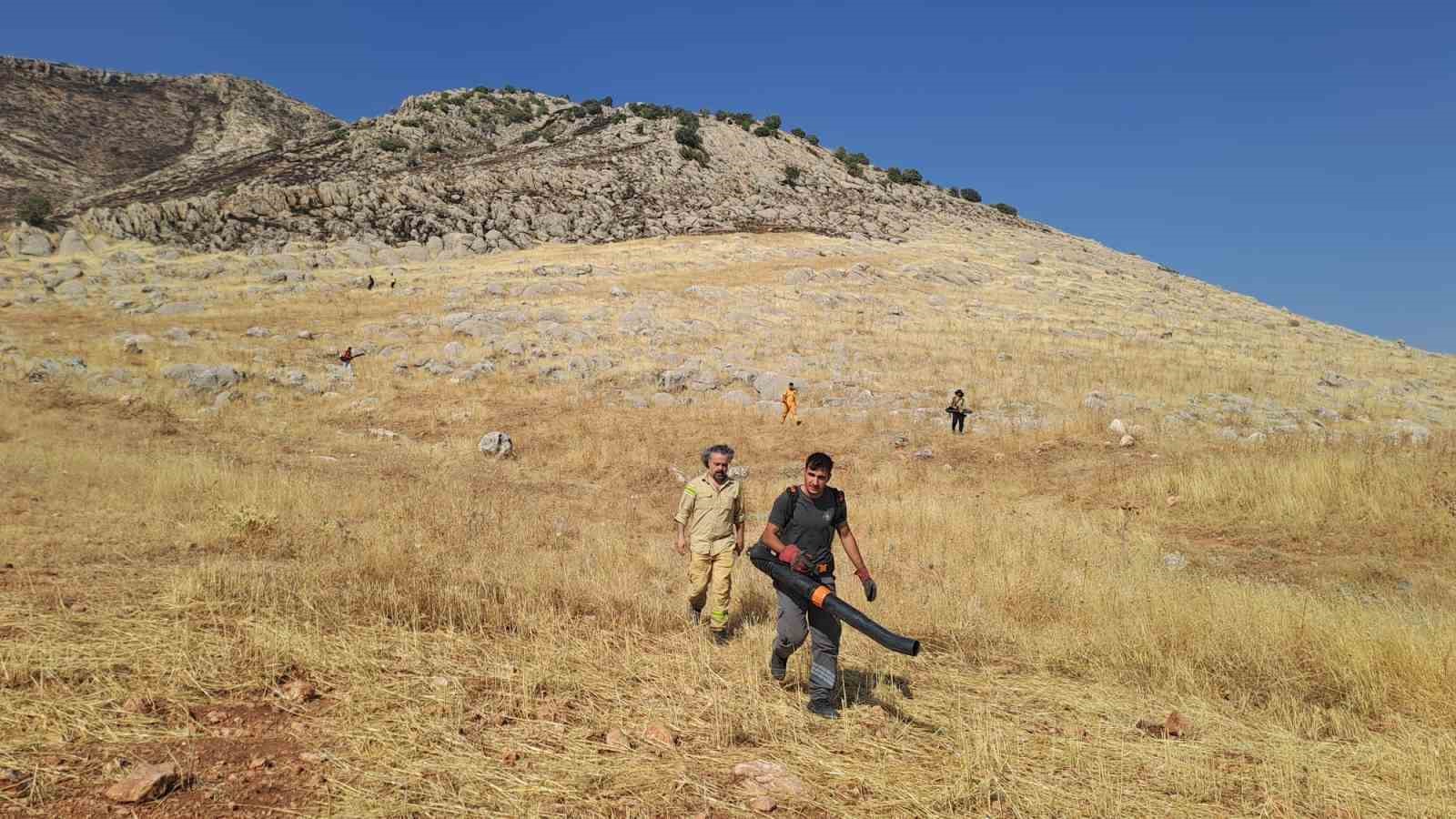 DİYARBAKIR’DA YAKLAŞIK 400 DÖNÜM ALANI KÜLE ÇEVİREN YANGIN KONTROL ALTINA ALINDI
