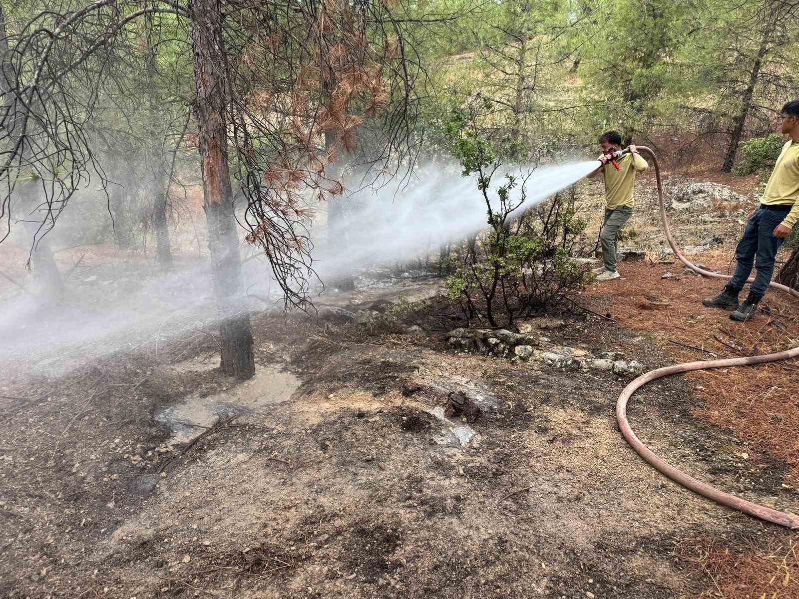 KİLİS’TE YILDIRIMIN DÜŞMESİYLE ORMANLIK ALANDA YANGIN ÇIKTI