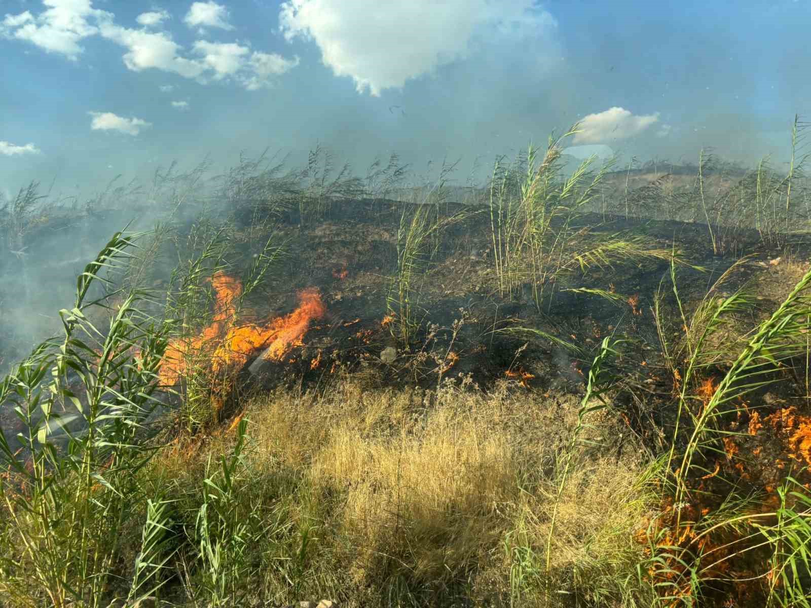 ŞIRNAK’TAKİ ÖRTÜ VE ORMAN YANGINI SÖNDÜRÜLDÜ