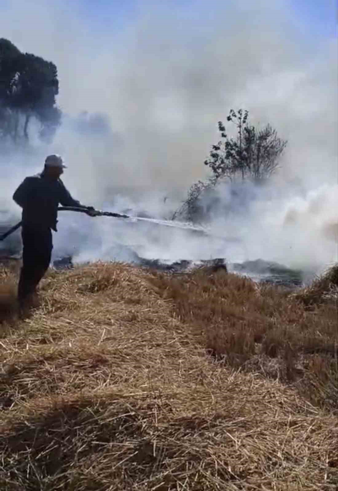 SAZLIKTA BAŞLAYAN YANGIN ORMANA SIÇRADI